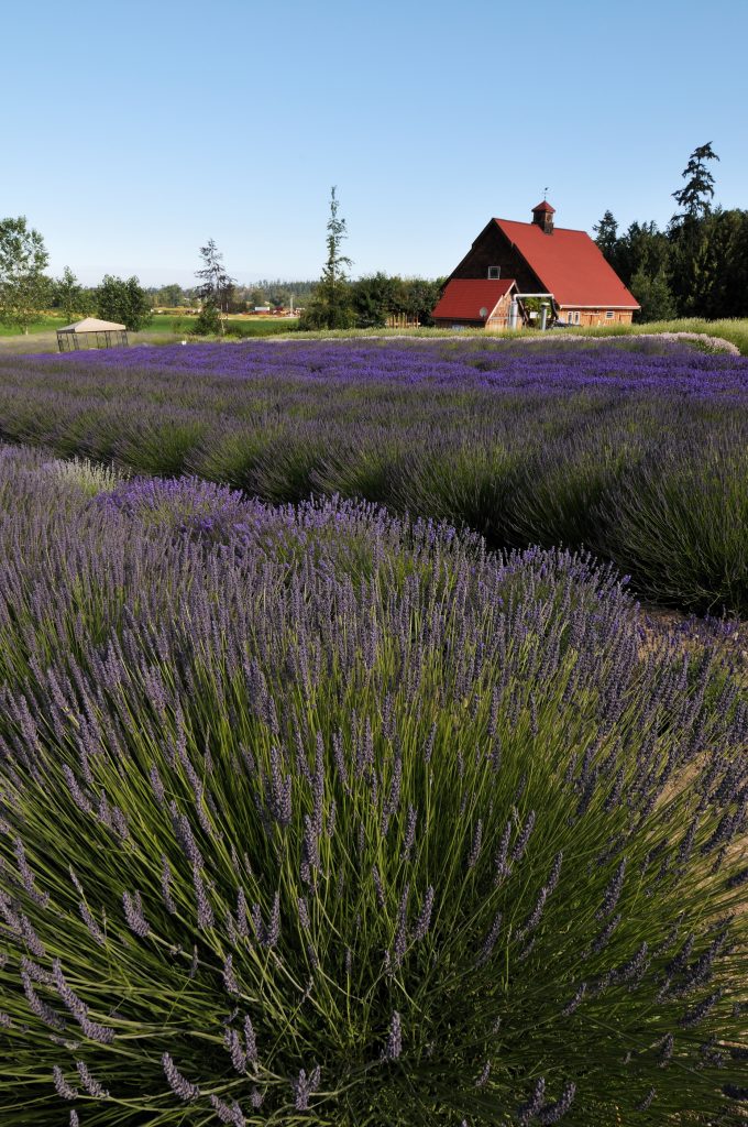 Sequim Mark N. McHugh Real Estate in Sequim Washington